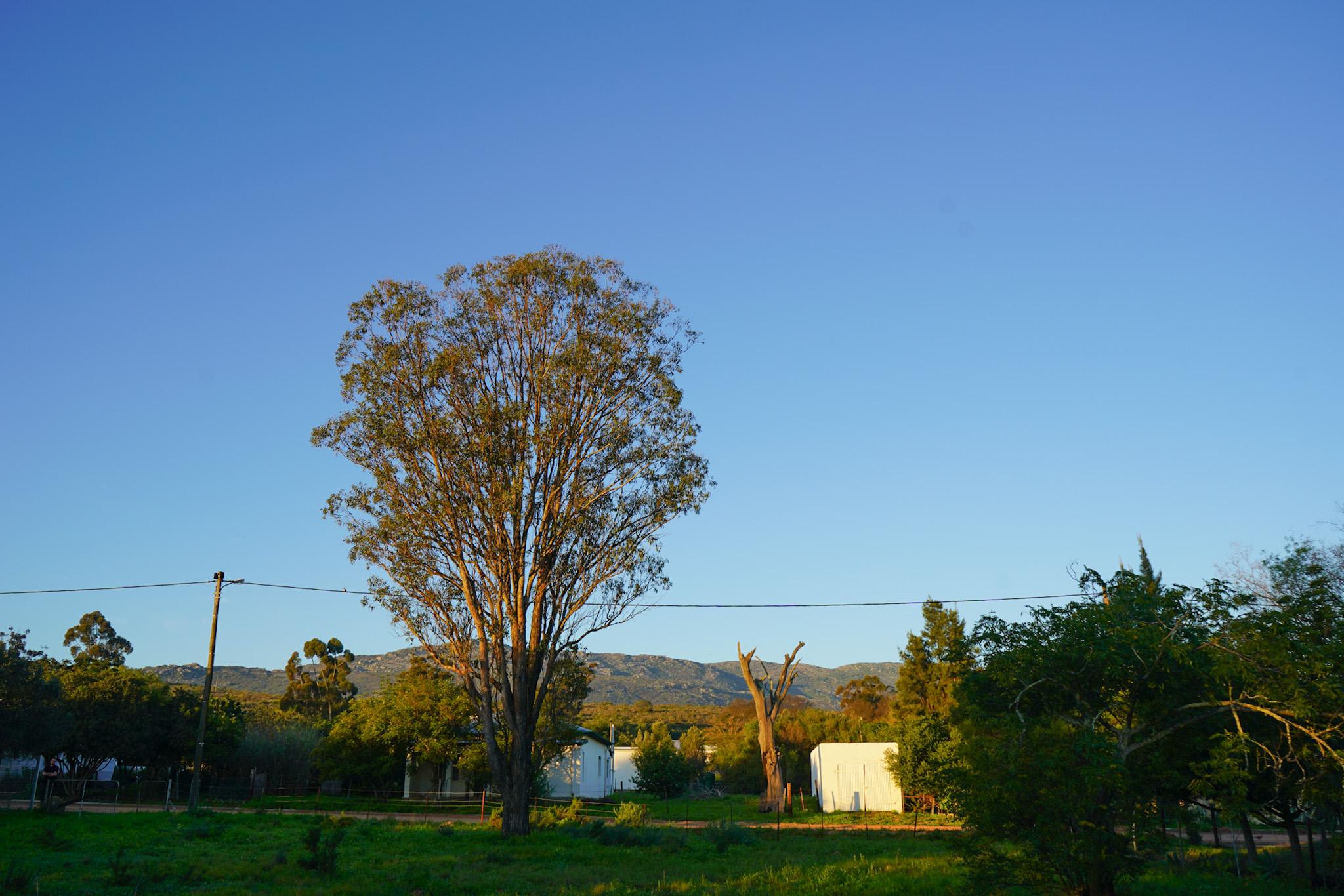 Land for Sale, Lang Street, Aurora west coast