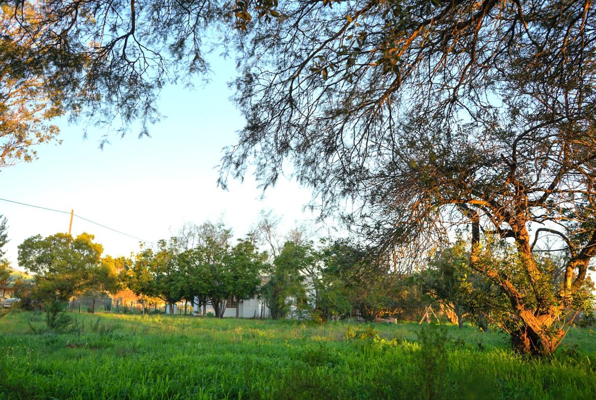 Land for Sale, Lang Street, Aurora west coast