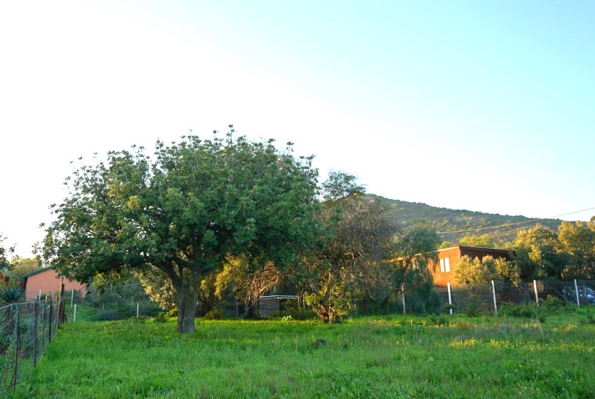 Land for Sale, Lang Street, Aurora west coast