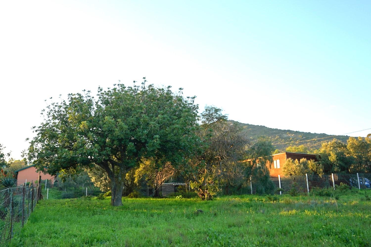 Land for Sale, Lang Street, Aurora west coast