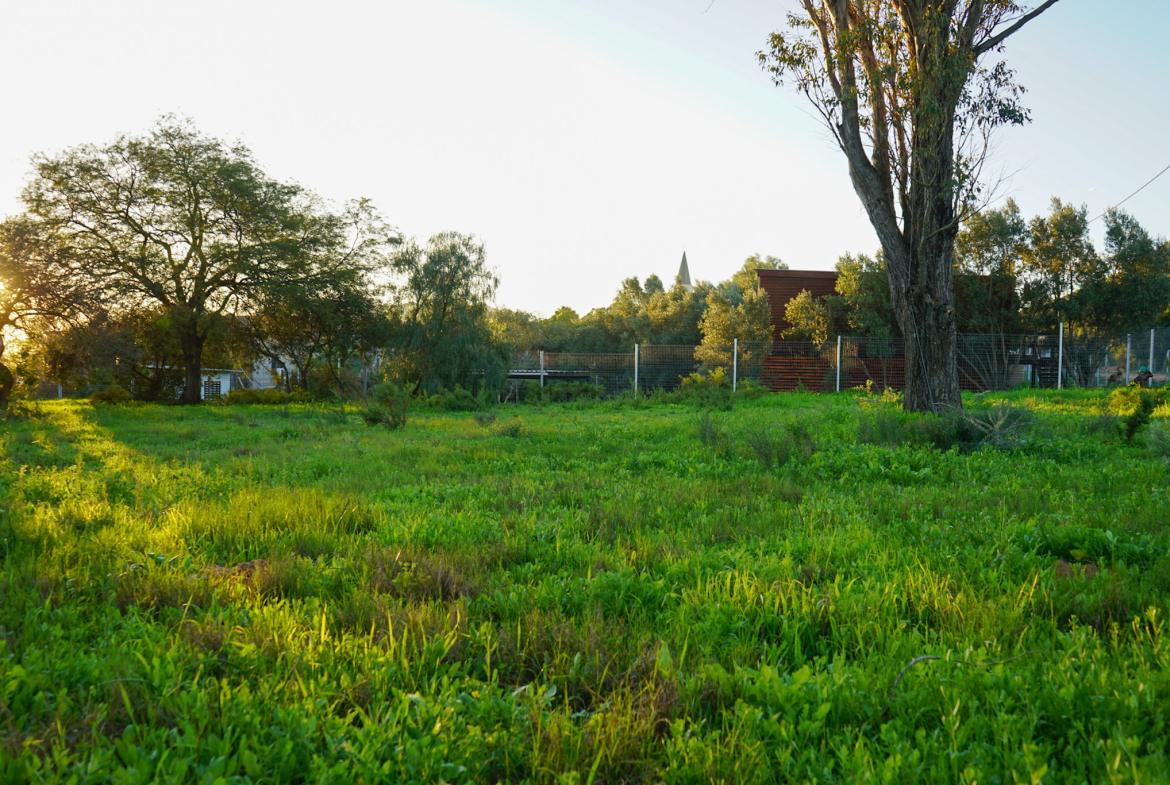 Land for Sale, Lang Street, Aurora west coast