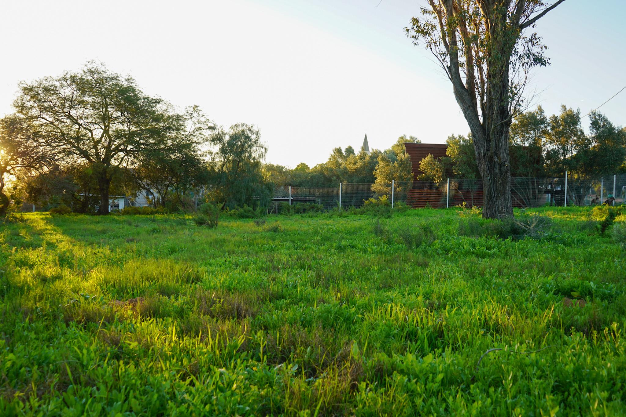 Land for Sale, Lang Street, Aurora west coast