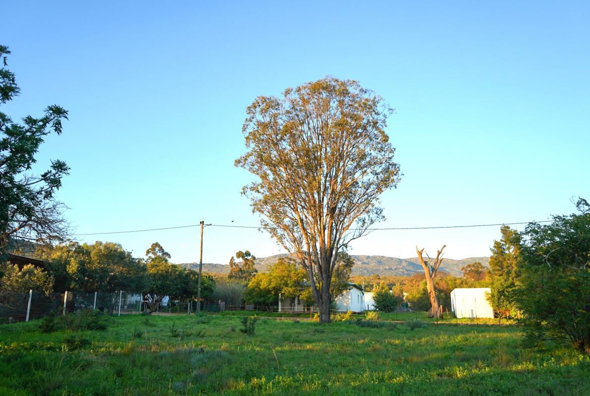Land for Sale, Lang Street, Aurora west coast
