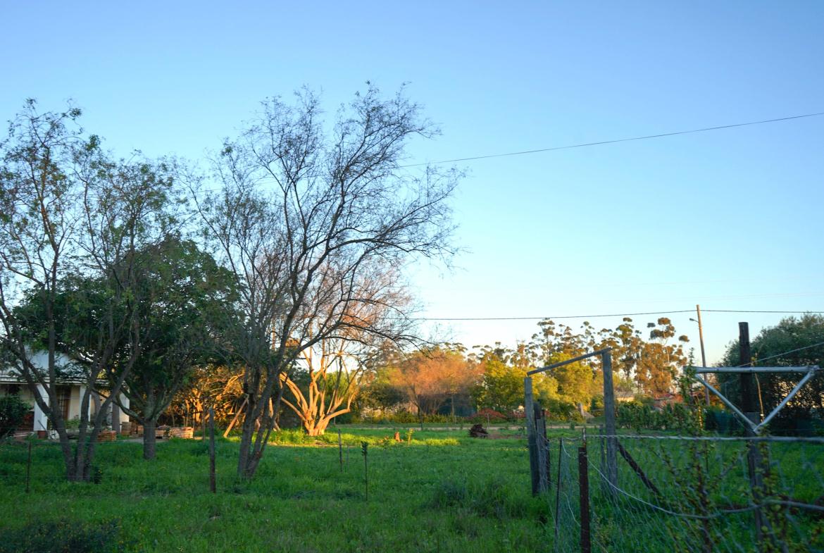 Land for Sale, Lang Street, Aurora west coast