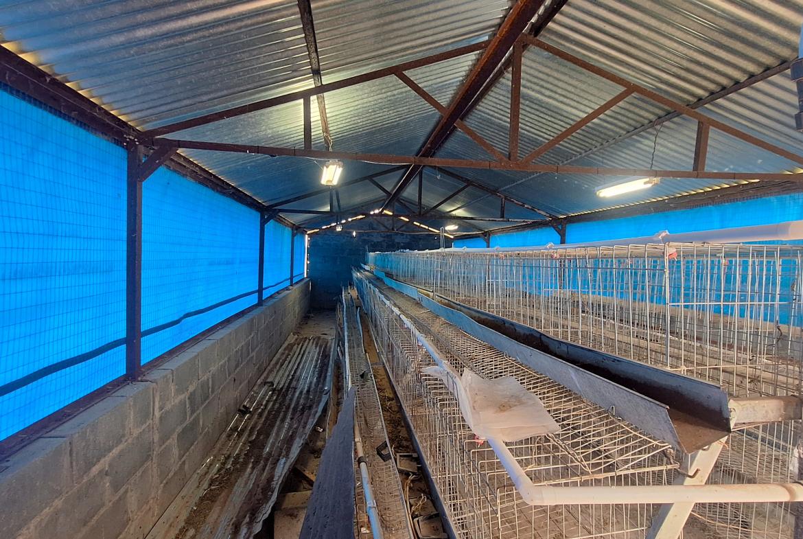 Excellent property for your small scale farming activities.
