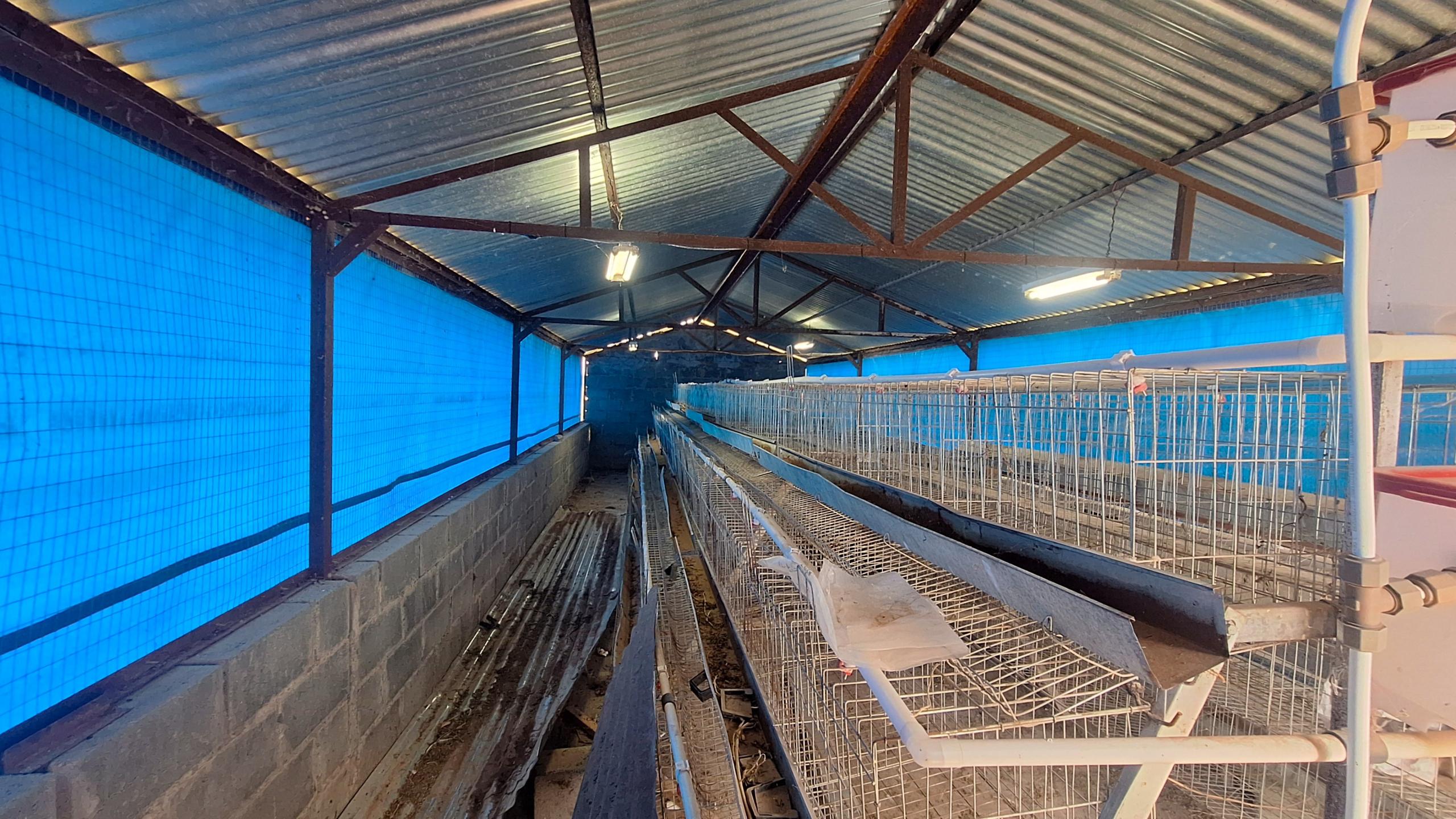 20251220_112416 Excellent property for your small scale farming activities.