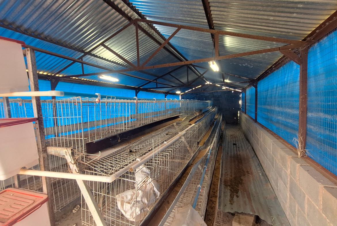 Excellent property for your small scale farming activities.