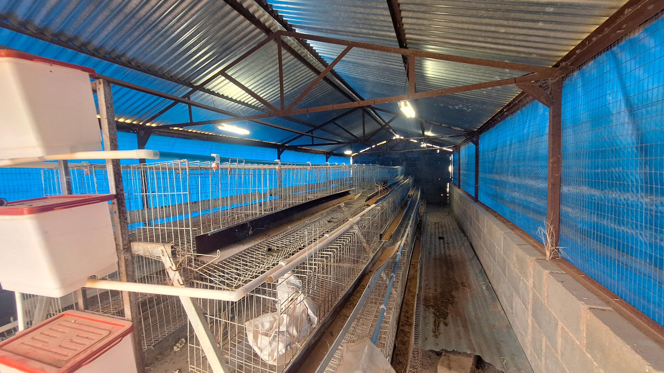 20251220_112431 Excellent property for your small scale farming activities.