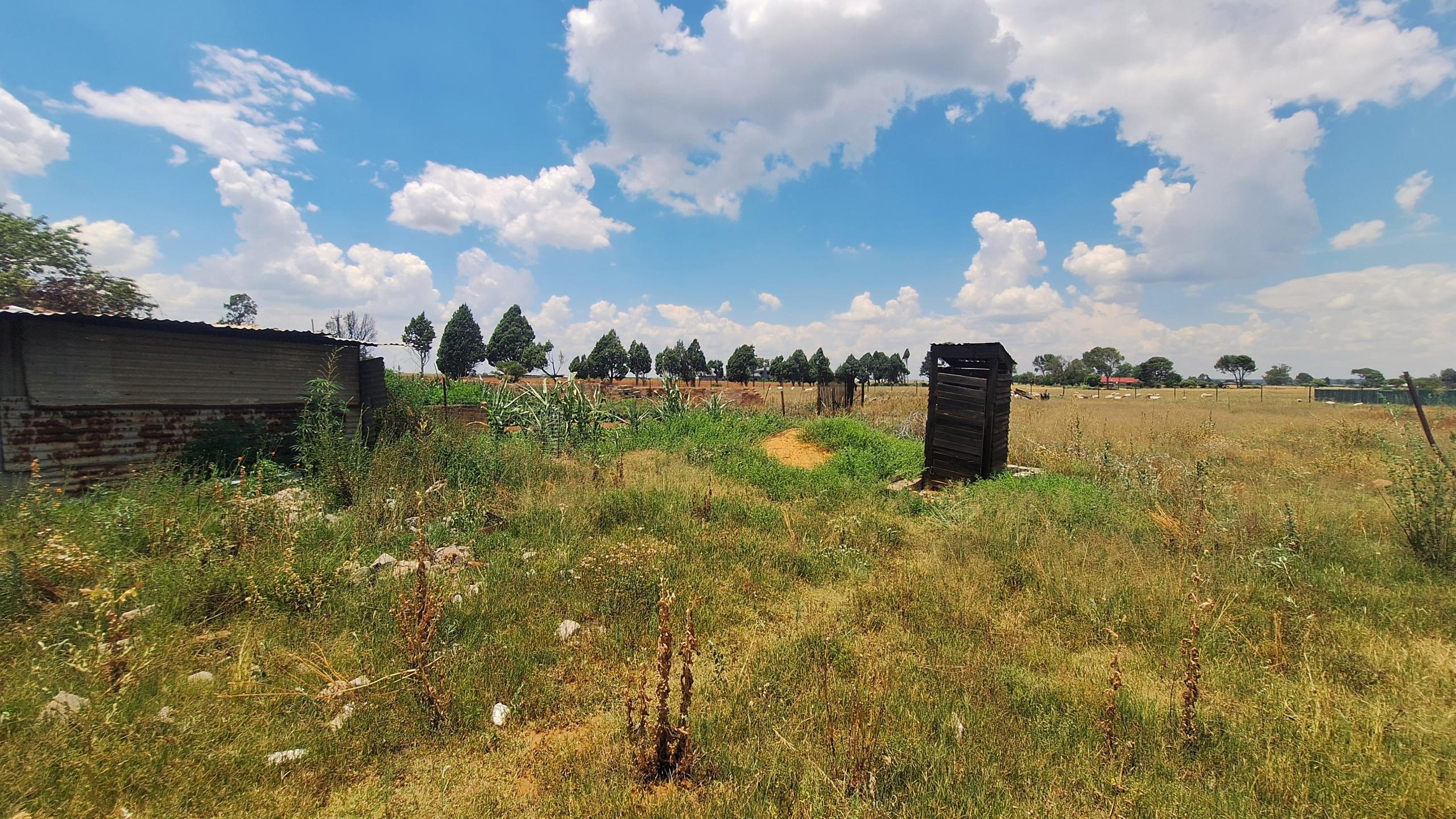 20251220_112608 Excellent property for your small scale farming activities.