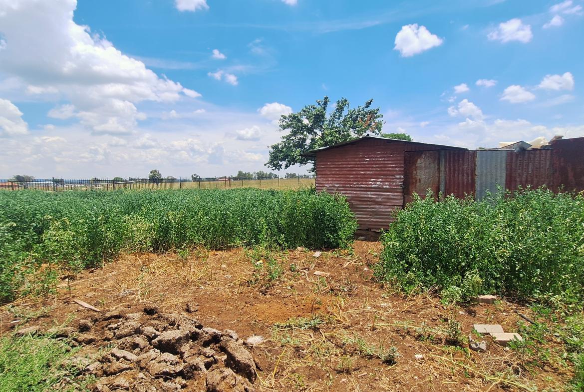 Excellent property for your small scale farming activities.